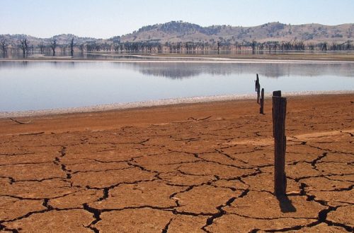 Article : Alerte au changement climatique à Madagascar