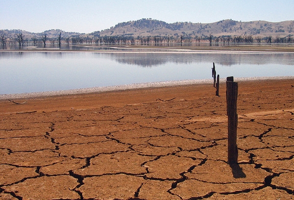 Article : Alerte au changement climatique à Madagascar