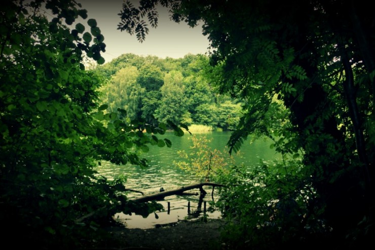 Article : Pourquoi il y aura un combat