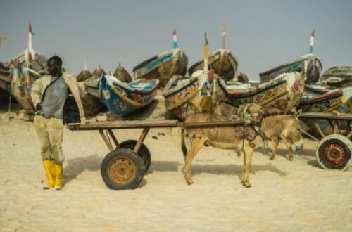 Article : La Mauritanie va comme elle peut
