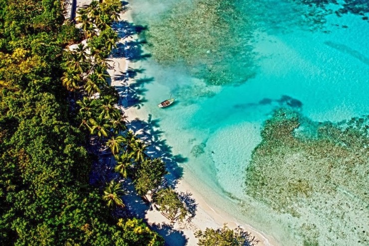 Article : Ile-à-Vache : un paradis assiégé