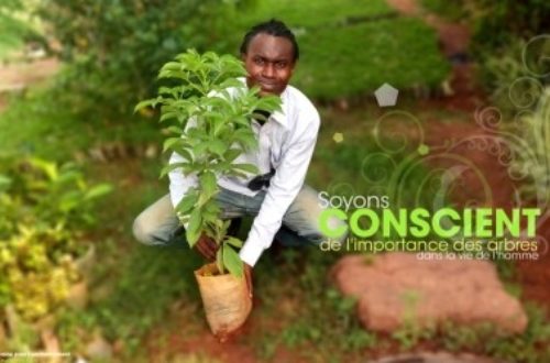 Article : Africa Green Challenge, mobilisons-nous pour la planète