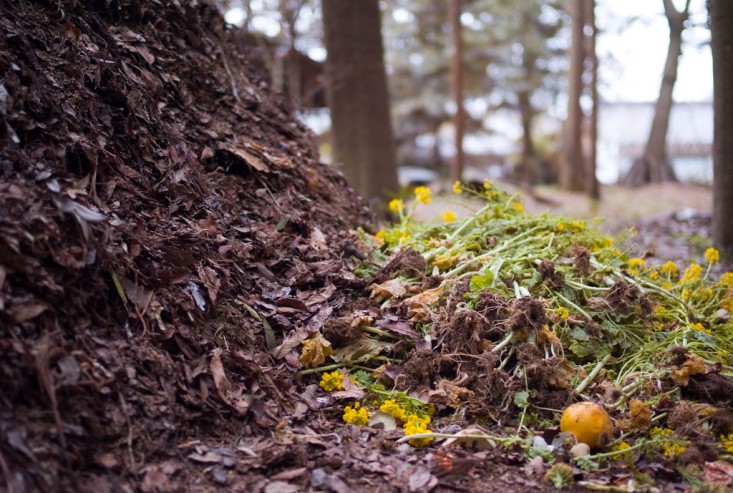 Article : Le compost en tas, dans le jardin de Pradeepa