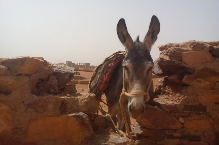 Article : Attention travaux : lieux mouvants, châteaux de sable et puis quoi encore ?