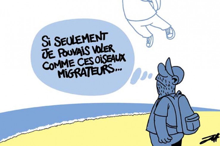 Article : A chacun son mode migratoire