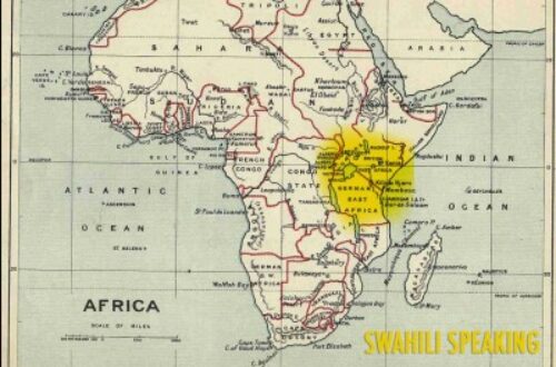 Article : Lettre d’un jeune panafricaniste à l’UA concernant le kiswahili