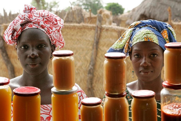 Article : A Mombeya, les paysans cr&eacute;ent une f&eacute;d&eacute;ration de producteurs