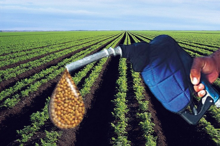 Article : Les biocarburants brésiliens, une opportunité pour l&rsquo;Afrique ?