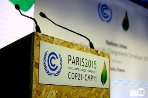 Article : COP21: de l’espoir pour l’Afrique ?