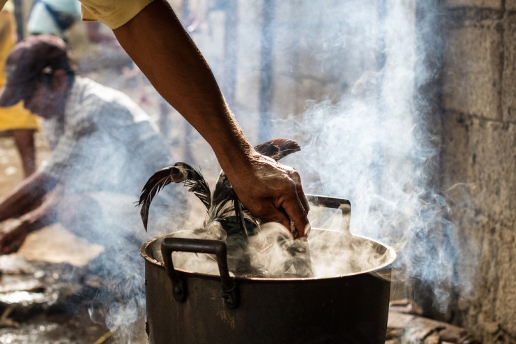 Article : Bamako : pendant les fêtes de fin d’année, le poulet est roi