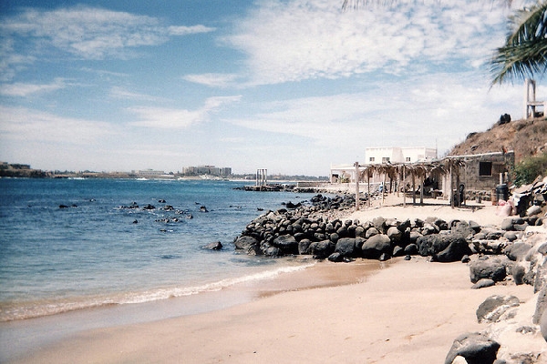 Article : A Gorée, j’ai coulé des larmes !