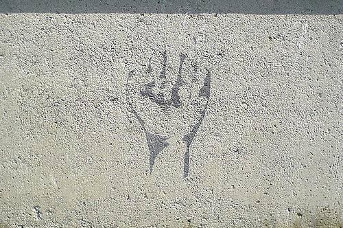 Article : Mauritanie : l&rsquo;opposition hausse le ton