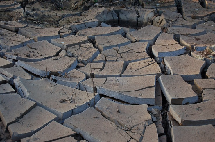 Article : A la COP21, l’Afrique a réclamé une réparation de l’injustice climatique