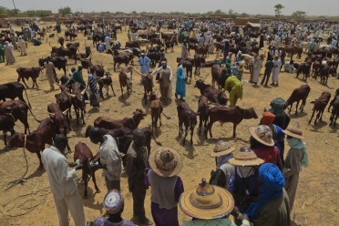Article : Le Niger, vu par moi