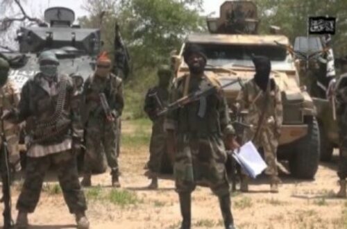 Article : Interview: l’impact de la guerre contre Boko Haram sur la population locale