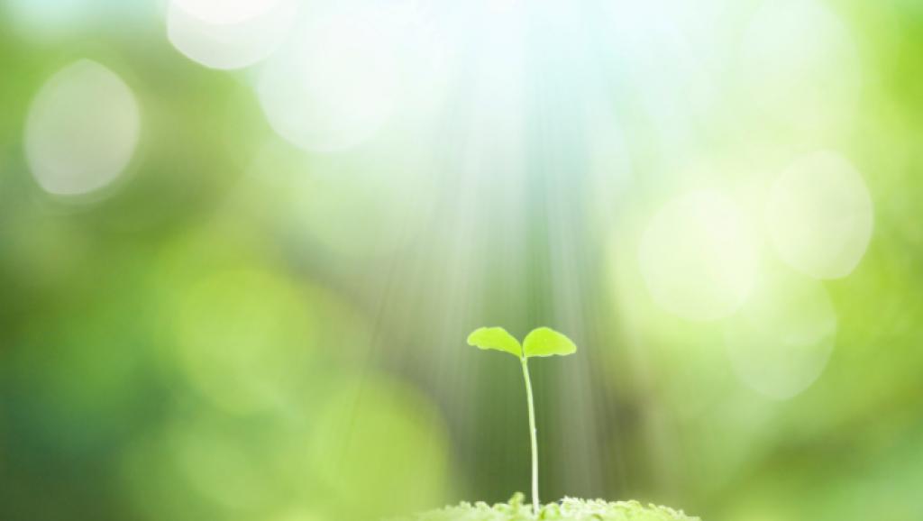 Article : Alternatiba Dakar : faire face au changement climatique