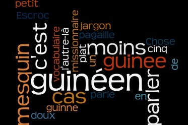 Article : Parlez-vous le &laquo; guin&eacute;en &raquo; ? top 10 des mots et expressions fran&ccedil;ais aux couleurs locales