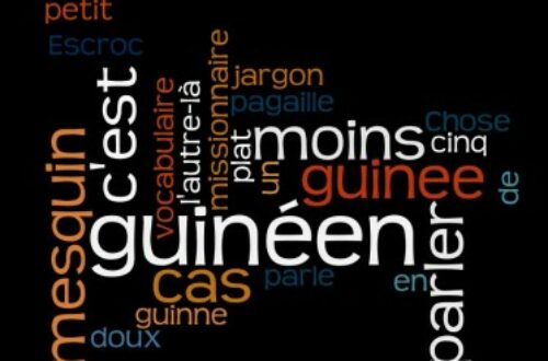 Article : Parlez-vous le « guinéen » ? top 10 des mots et expressions français aux couleurs locales