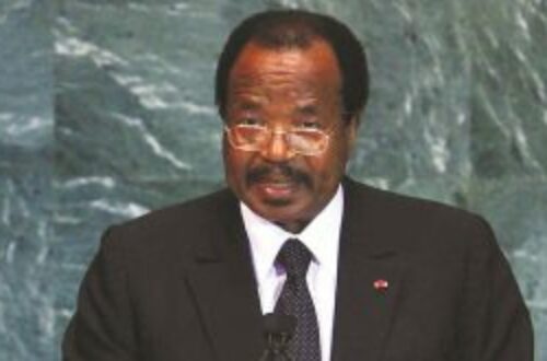 Article : Si j’étais leader de l’opposition au Cameroun…