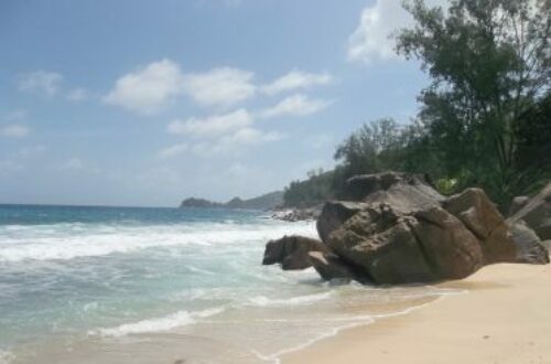 Article : Seychelles : découverte d’un paradis