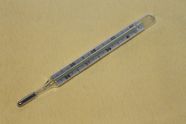 Article : Le pakavilisme, la redoutable maladie des congolais