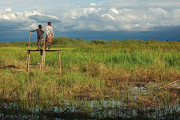 Article : Maga : Vivre de riz et de cr&eacute;dits&hellip;