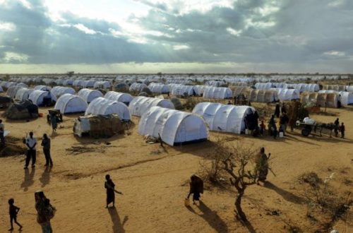 Article : Dadaab, plus grand camp de réfugiés au monde, pourrait fermer