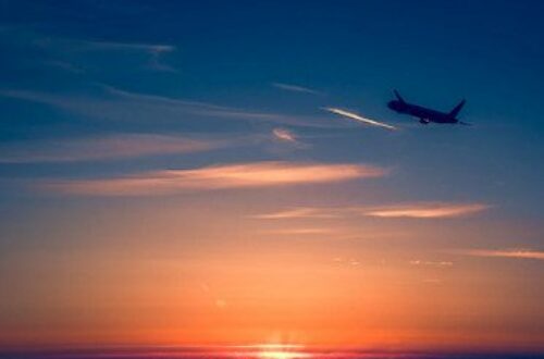 Article : S’allonger pour regarder les avions passer, parce qu’une main, aveugle, a plus de plaisir à se laisser caresser.