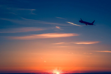 Article : S&rsquo;allonger pour regarder les avions passer, parce qu&rsquo;une main, aveugle, a plus de plaisir à se laisser caresser.