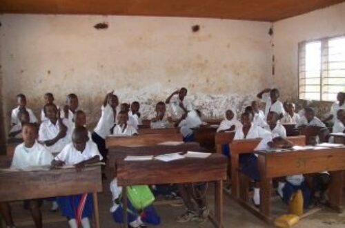 Article : Mes propositions pour « RE-PANSER » le système éducatif au Tchad