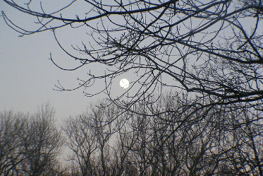 Article : Souvenir d&rsquo;un soir