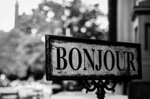 Article : Les pépites de Mondoblog :  un zeste de Francophonie