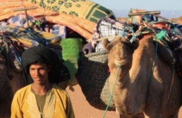 Article : No&euml;l, c&rsquo;est pas toujours dimanche.