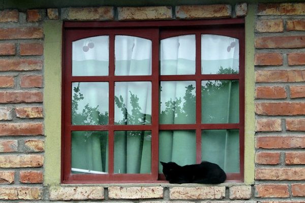 Article : Exponentiel