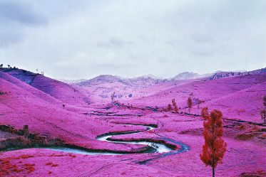 Article : Richard Mosse : le Congo version rose