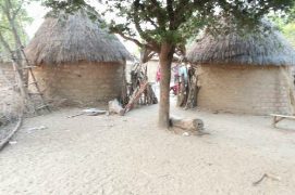 Article : Croyances et traditions du peuple Massa