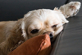 Article : L&rsquo;ennui, une liste non-exhaustive #Mondochallenge