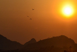 Article : Qu&rsquo;est ce qui bloque le renouvellement de la classe politique au Cameroun ?