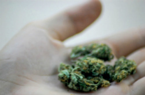 Article : Le dernier joint de marijuana