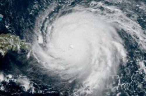 Article : Irma