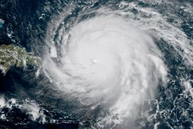 Article : Irma