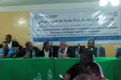 Article : A Aleg, consultation de haut niveau sur le secteur agropastoral en Mauritanie