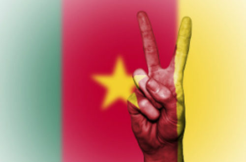 Article : 10 constats sur les francophones à travers le « problème anglophone » au Cameroun