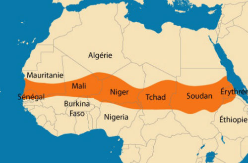 Article : A Abidjan, les experts au chevet d’un malade nommé Sahel