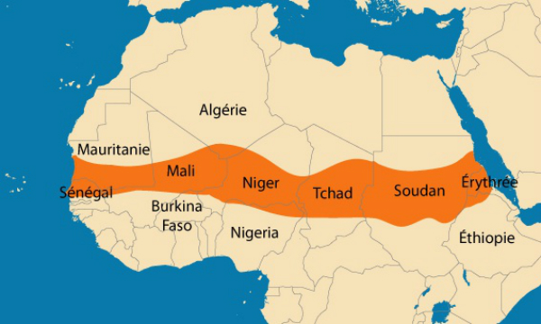 Article : A Abidjan, les experts au chevet d’un malade nommé Sahel