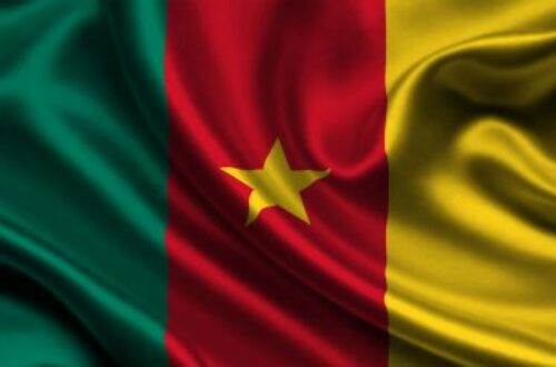 Article : #MondoCorrespondance : les affaire de langues c’est délicat au Cameroun !