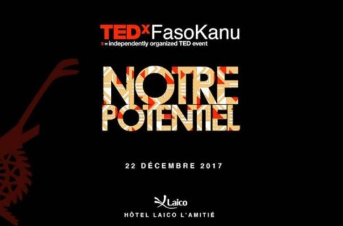Article : TEDx Faso Kanu, le rendez-vous stimulant des jeunes du Mali
