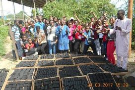 Article : Entretien avec M Nandou Tenkeu Muller, promoteur du &laquo; charbon vert &raquo;