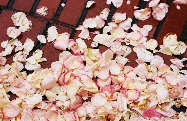 Article : Obligée de se marier pour se sentir femme respectable 