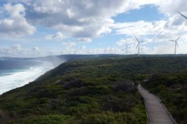 Article : Visite éclair à Albany, direction Margaret River